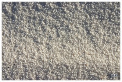 gypsum grain