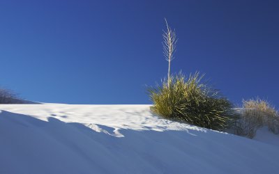 White Sand National Monument