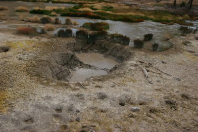 Mud Volcano Area, Yellowstone National Park