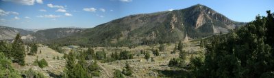 Yellowstone National Park Panorama