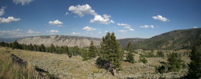 Yellowstone National Park Panorama