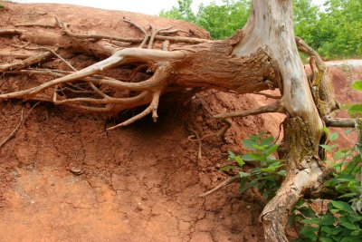 Ontario Badlands, Cheltenham