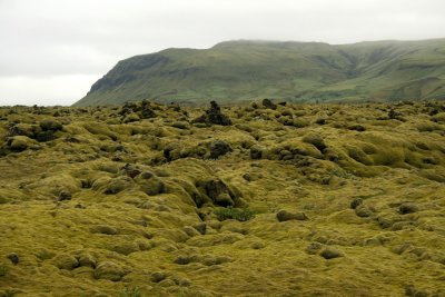 Moss over lava