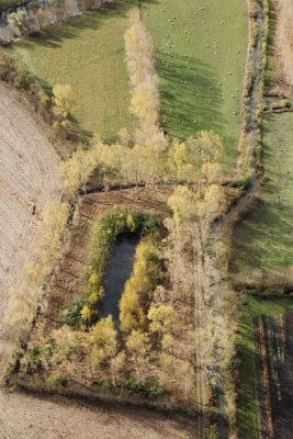 36-6585 Mare Marais Poitevin 11-2009.jpg