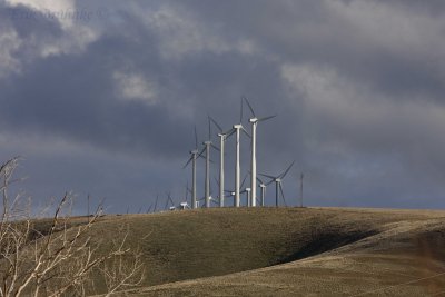 Windtowers in Washington