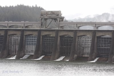 Dam along the Columbia River (Oregon)