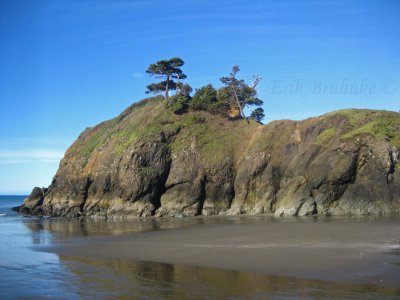 View from Port Orford Beach