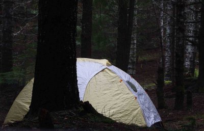My tent at Mary's Peak campsite