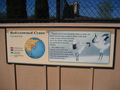 Red-crowned Crane Sign