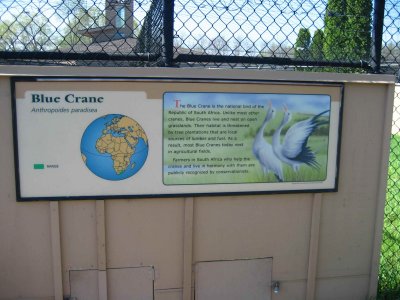 Blue Crane Sign