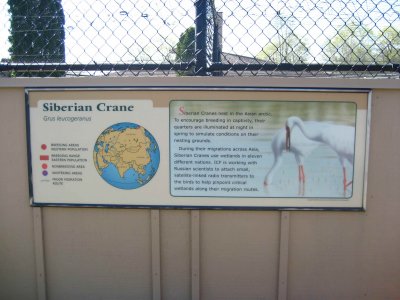 Siberian Crane Sign