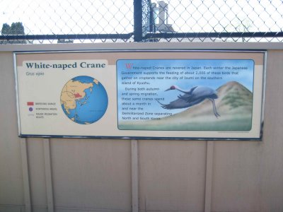 White-naped Crane Sign