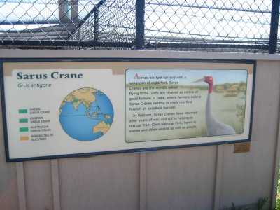 Sarus Crane Sign