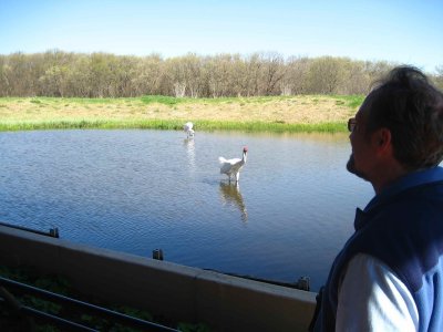 Jim and the Whooping Cranes