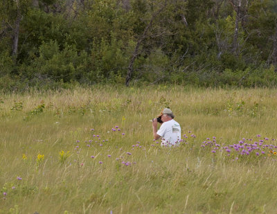 Nature Boy