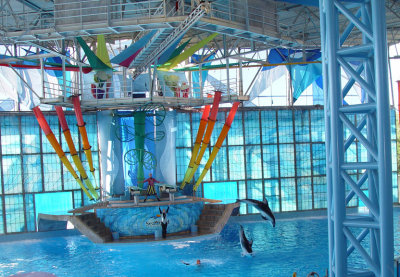 Dolphin Arena at the Sea World