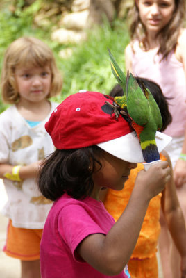 Uma and the Parrots at Sea World