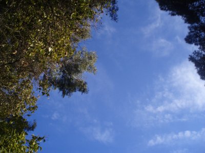 El cielo en el Retiro