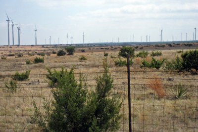 DBE San Angelo 2008