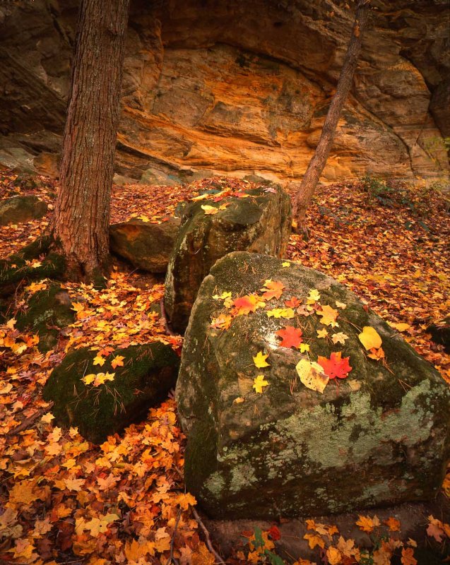 6 Starved Rock State Park