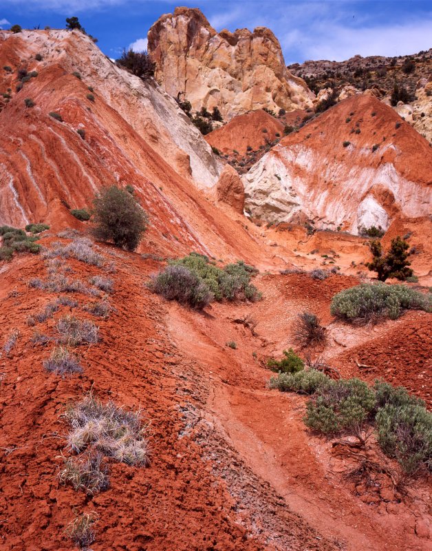 The Cockscomb, GSENM