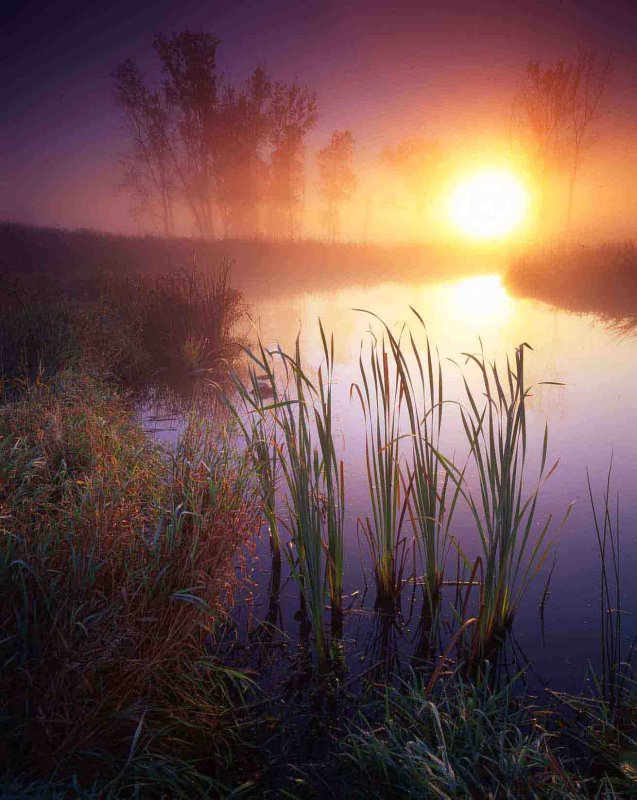 11Glacial Park, McHenry County, IL