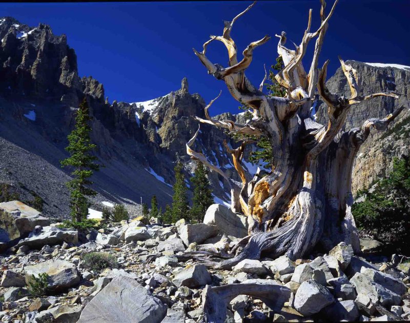 9 Great Basin National Park, NV