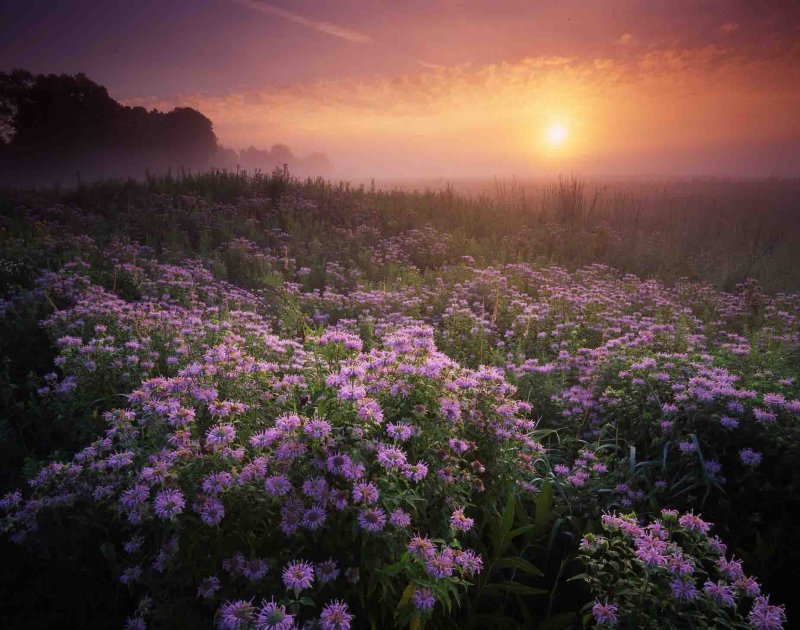 7 Moraine Hills State Park, IL