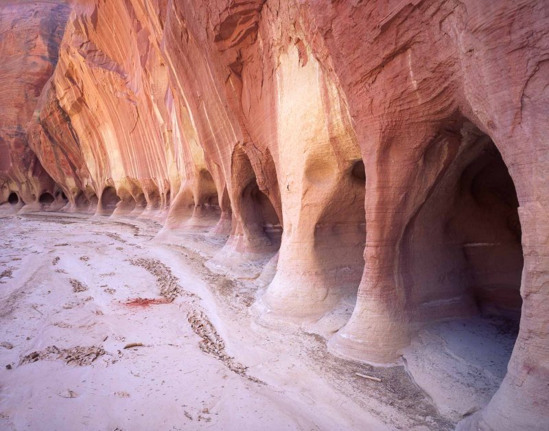 8 Paria Canyon