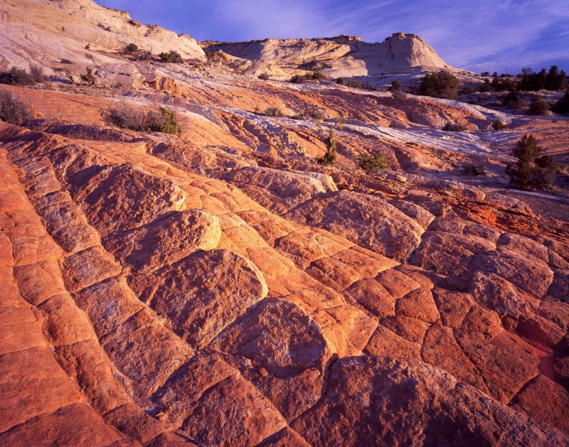 17 Escalante Canyons