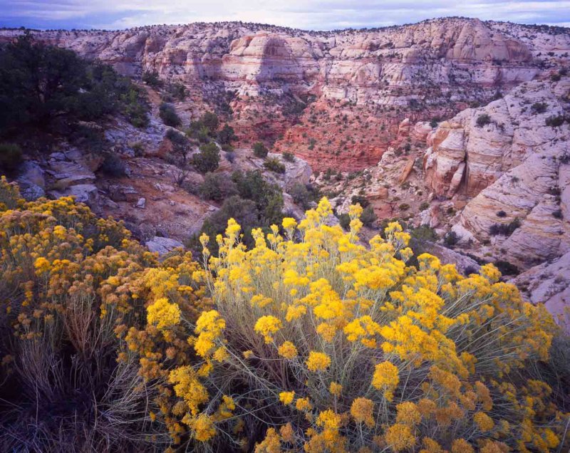 19 Calf Creek Recreation Area