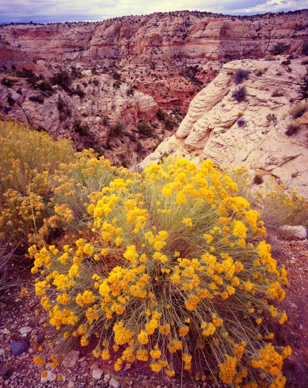 20 Calf Creek Recreation Area