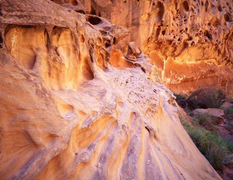 Capitol Gorge wall