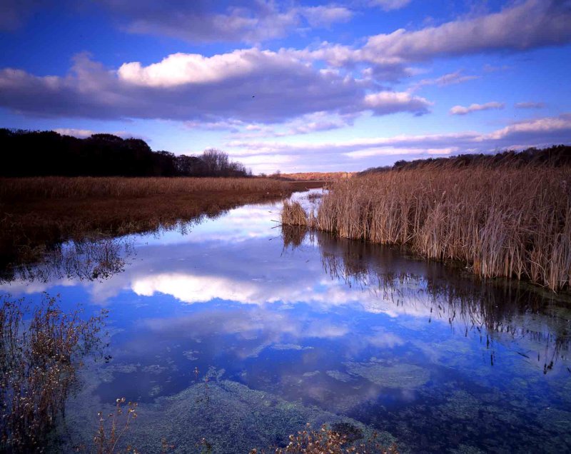 74 Moraine Hills State Park, IL