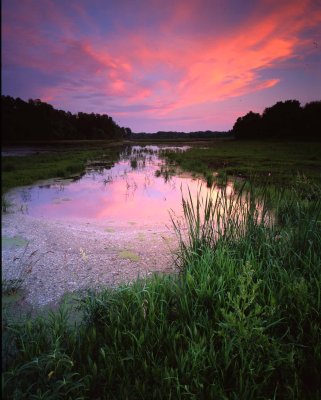 35 Moraine Hills State Park, IL