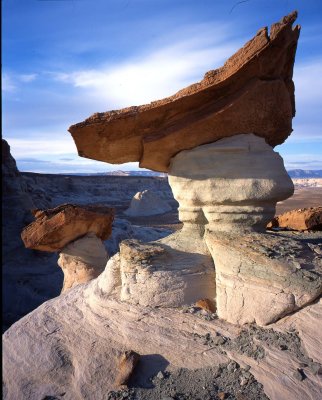 Stud Horse Point