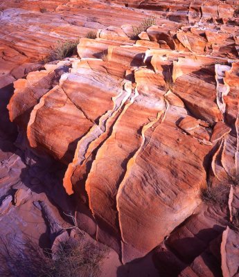 May 2 2008060.jpg