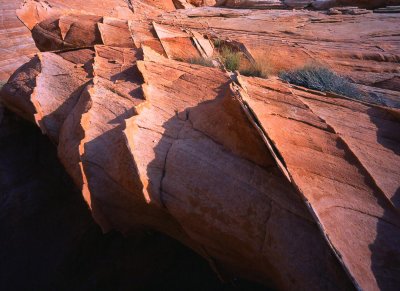 May 2 2008061.jpg