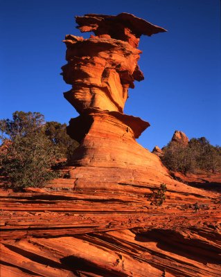 Coyote Buttes South