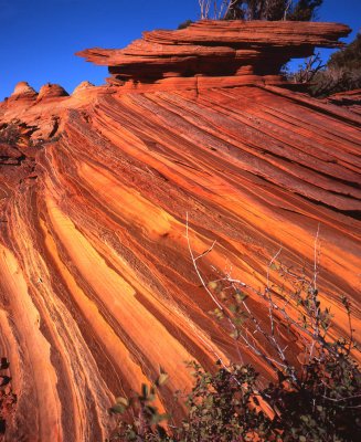 Coyote Buttes South