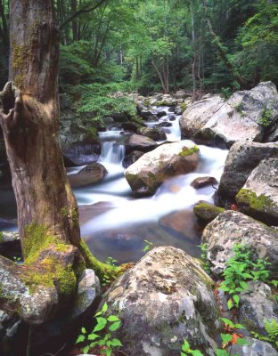 5 Great Smoky Mountains NP, TN