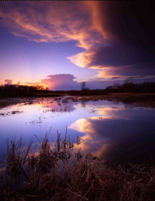 35 Chain-O-Lakes State Park, IL