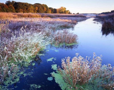 56 Moraine Hills State Park, IL