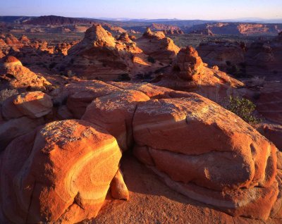 20 Coyote Buttes South, AZ