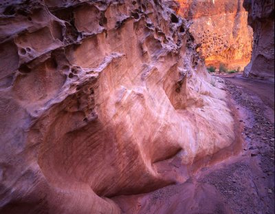 Capitol Gorge