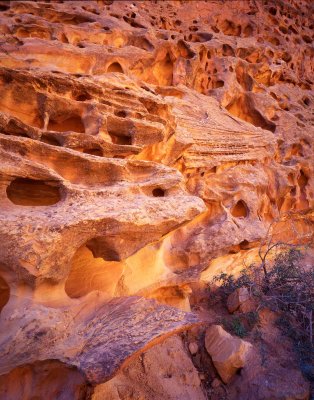 Capitol Gorge