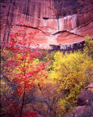 16 Emerald Pools Trail