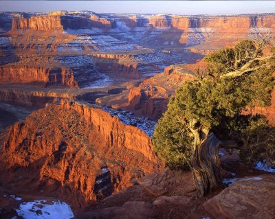 9 Shafer Canyon from Dead Horse Point