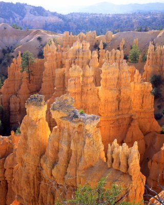 22 Fairyland Canyon