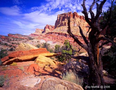 View at end of Scenic Drive